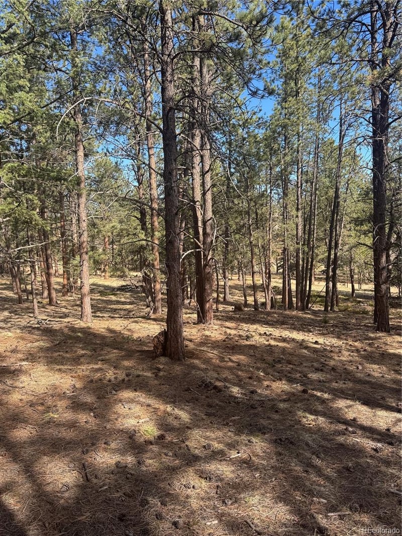 642 Matterhorn Dr, Florissant, CO 80816