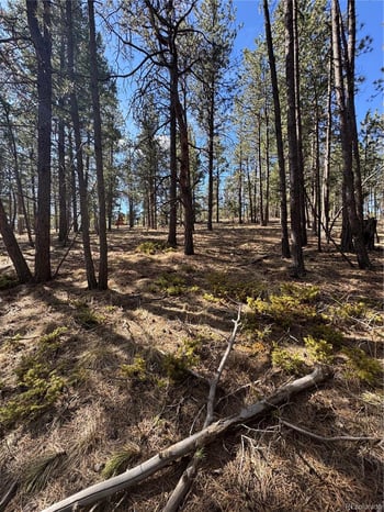 642 Matterhorn Dr, Florissant, CO 80816