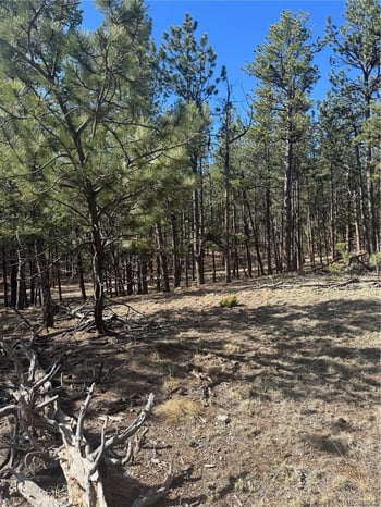 642 Matterhorn Dr, Florissant, CO 80816
