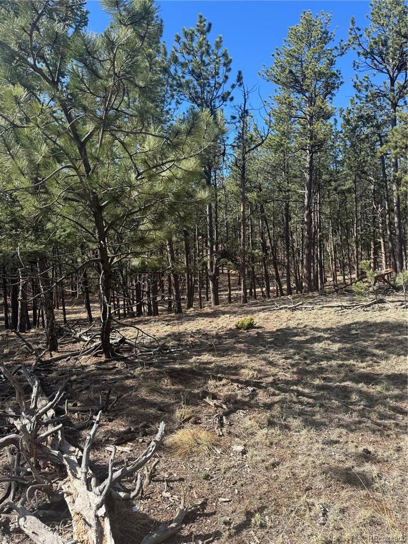 642 Matterhorn Dr, Florissant, CO 80816
