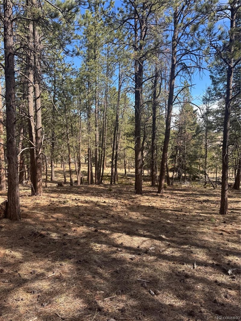 642 Matterhorn Dr, Florissant, CO 80816