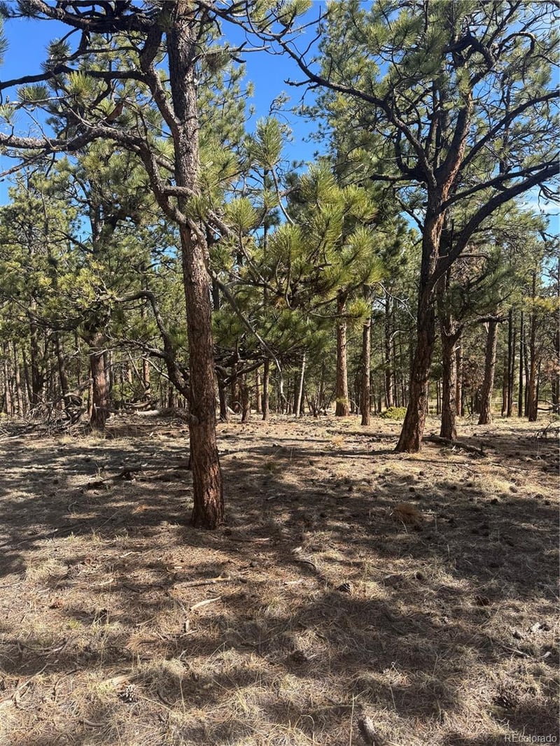 642 Matterhorn Dr Lot 7, Florissant, CO 80816