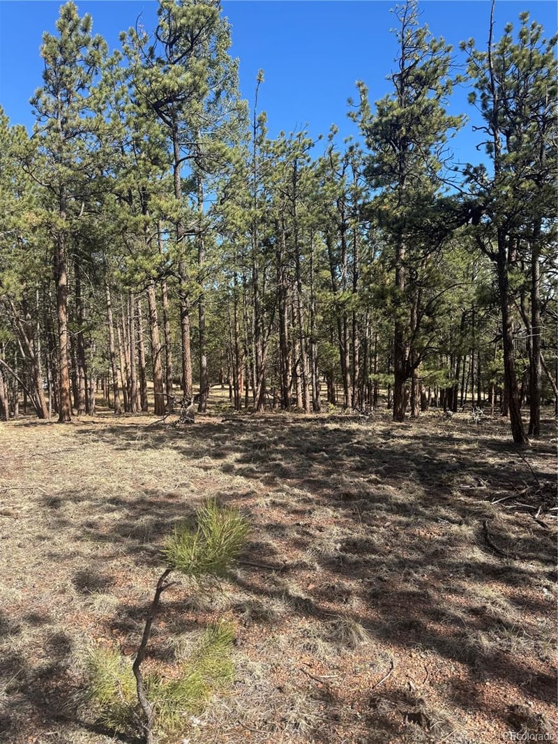 642 Matterhorn Dr Lot 7, Florissant, CO 80816