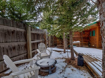 46 Singleton Rd, Alma, CO 80420