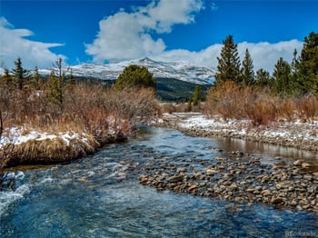 46 Singleton Rd, Alma, CO 80420