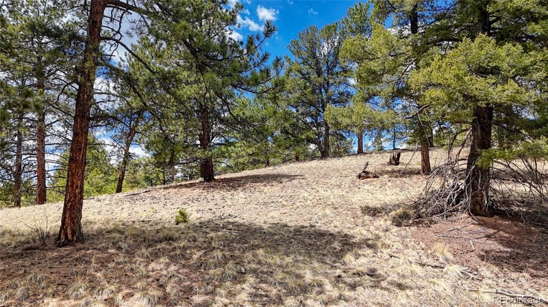 16 View Cir, Florissant, CO 80816