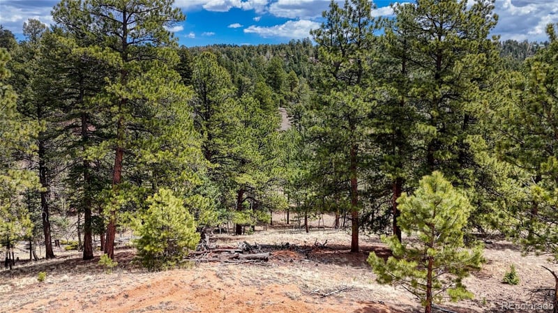 16 View Cir, Florissant, CO 80816