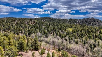 16 View Cir, Florissant, CO 80816
