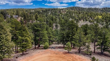 16 View Cir, Florissant, CO 80816