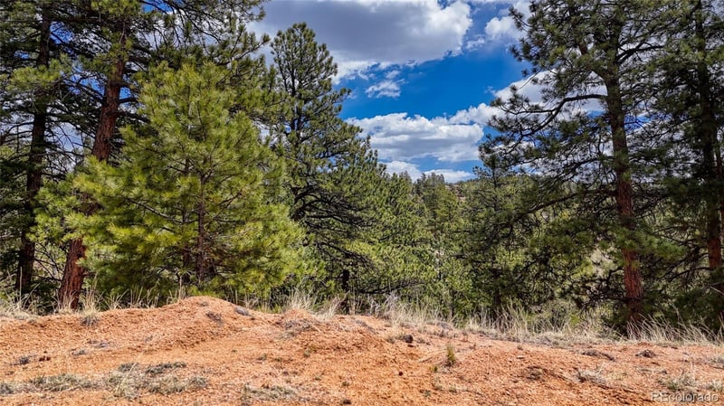 16 View Cir, Florissant, CO 80816