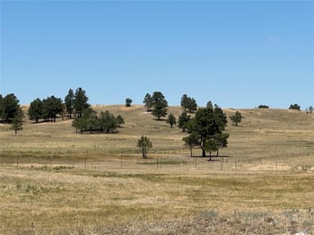 Goodson Rd, Peyton, CO 80831