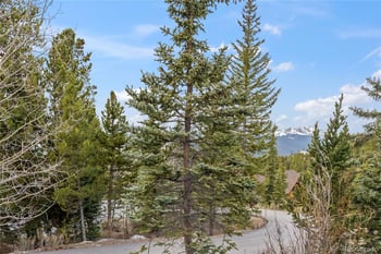 53 Atlantic Lode Rd, Breckenridge, CO 80424
