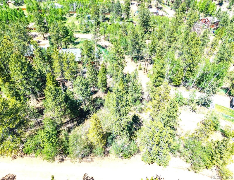 33 Smith St, Bailey, CO 80421