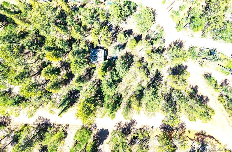 33 Smith St, Bailey, CO 80421