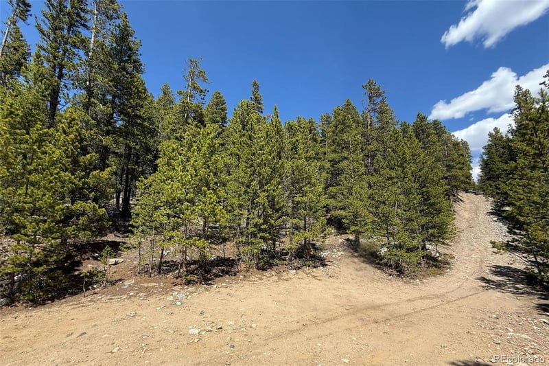 312 Vista Rd, Idaho Springs, CO 80452
