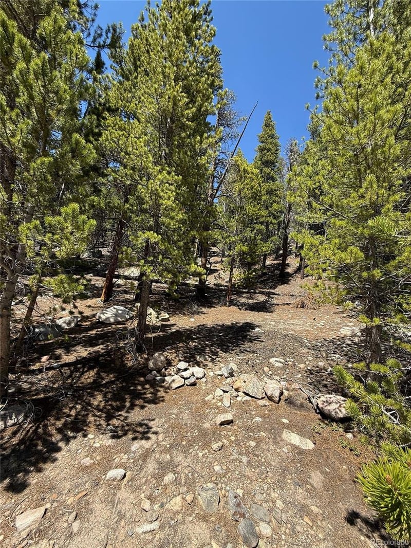 312 Vista Rd, Idaho Springs, CO 80452