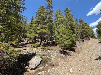 312 Vista Rd, Idaho Springs, CO 80452