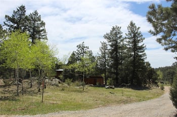 234 Panorama Dr, Bailey, CO 80421