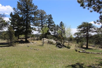 234 Panorama Dr, Bailey, CO 80421