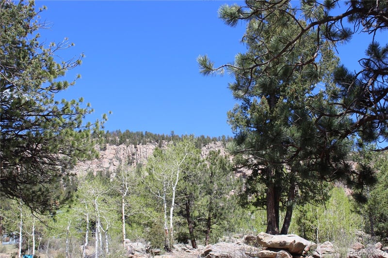 234 Panorama Dr, Bailey, CO 80421