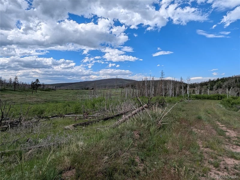 1692 Trimm Pl, Fort Garland, CO 81133