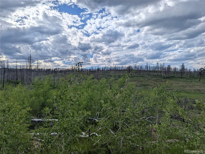 1692 Trimm Pl, Fort Garland, CO 81133