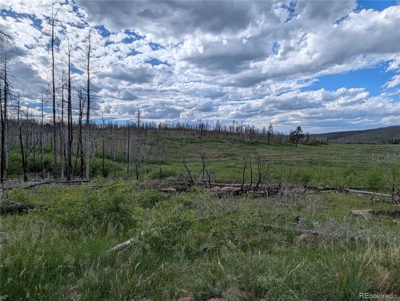 1692 Trimm Pl, Fort Garland, CO 81133
