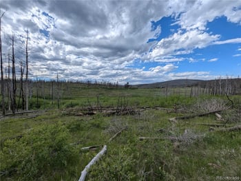 1692 Trimm Pl, Fort Garland, CO 81133