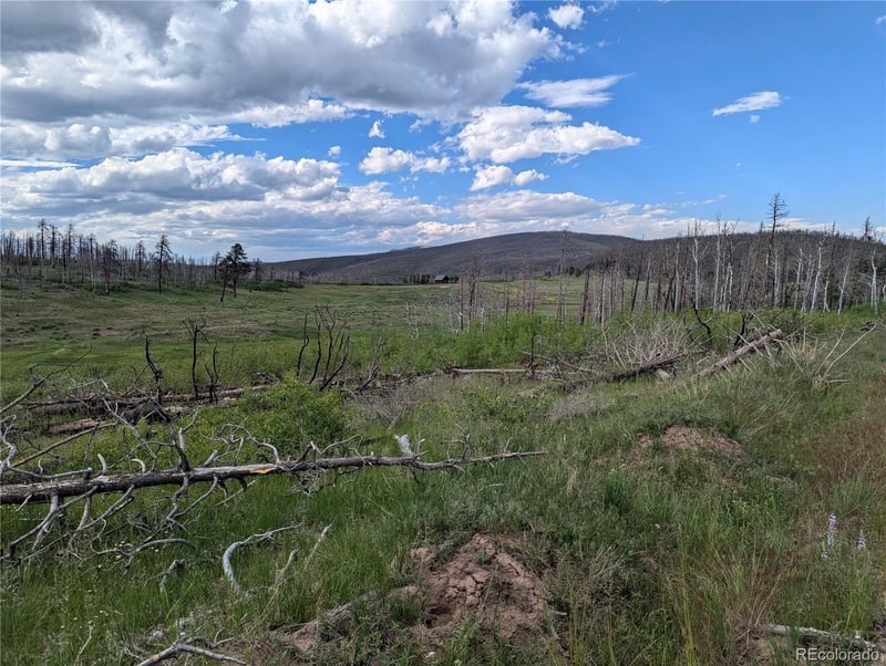 1692 Trimm Pl, Fort Garland, CO 81133