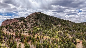 281 Nickel Plate Rd, Cripple Creek, CO 80813