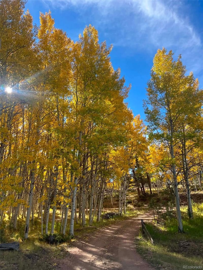 82 Mountain Estates Rd, Florissant, CO 80816