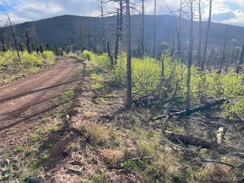 Lot 2248 Buonaventura Ln, Fort Garland, CO 81133