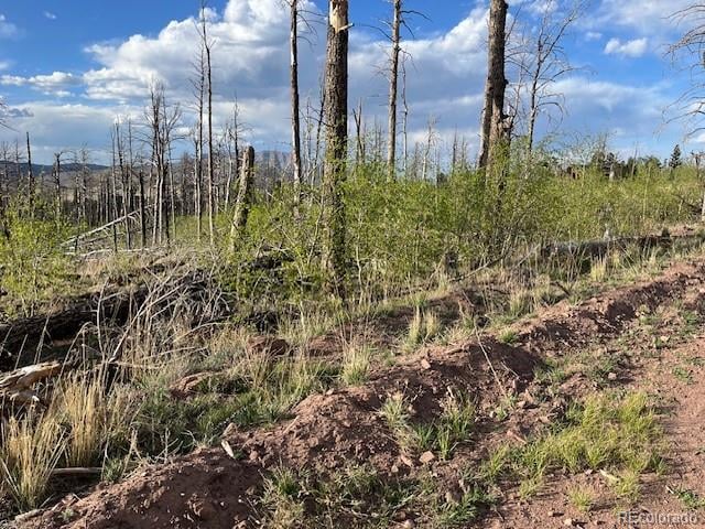 Lot 2248 Buonaventura Ln, Fort Garland, CO 81133