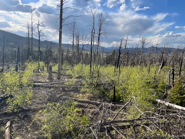 Lot 2248 Buonaventura Ln, Fort Garland, CO 81133