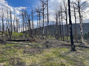 Lot 2248 Buonaventura Ln, Fort Garland, CO 81133