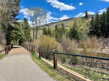 114 Robin Dr #114, Silverthorne, CO 80498