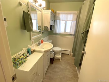 1776 County Road 4, Leadville, CO 80461
