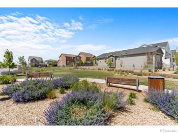2431 Cottongrass Ave, Loveland, CO 80538