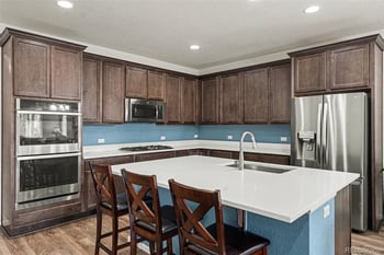 3708 White Rose Loop, Castle Rock, CO 80108