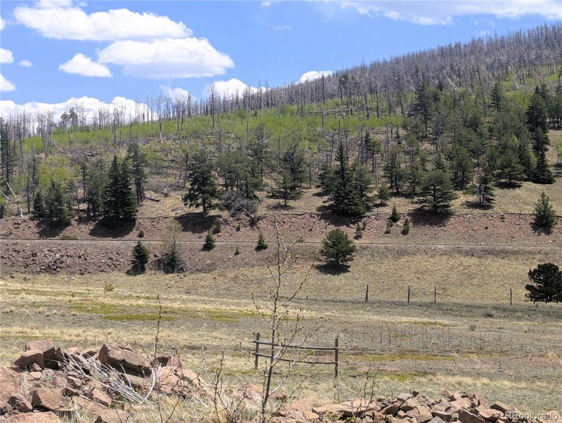 1670 Cary Ln, Fort Garland, CO 81133