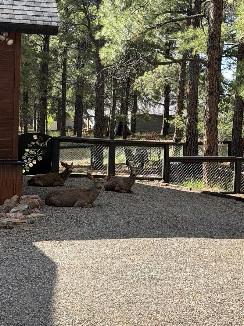 125 Teakwood Dr, Pagosa Springs, CO 81147