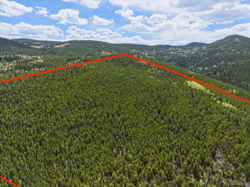000 Sinton Rd, Evergreen, CO 80439