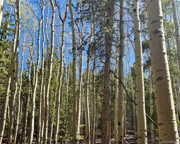 000 Sinton Rd, Evergreen, CO 80439