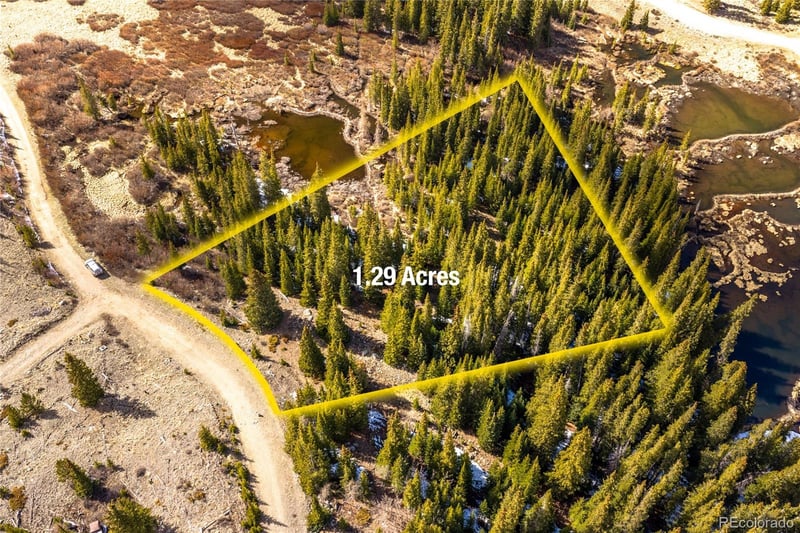 199 Zinc Rd, Alma, CO 80440