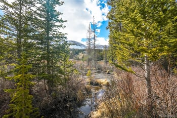199 Zinc Rd, Alma, CO 80440