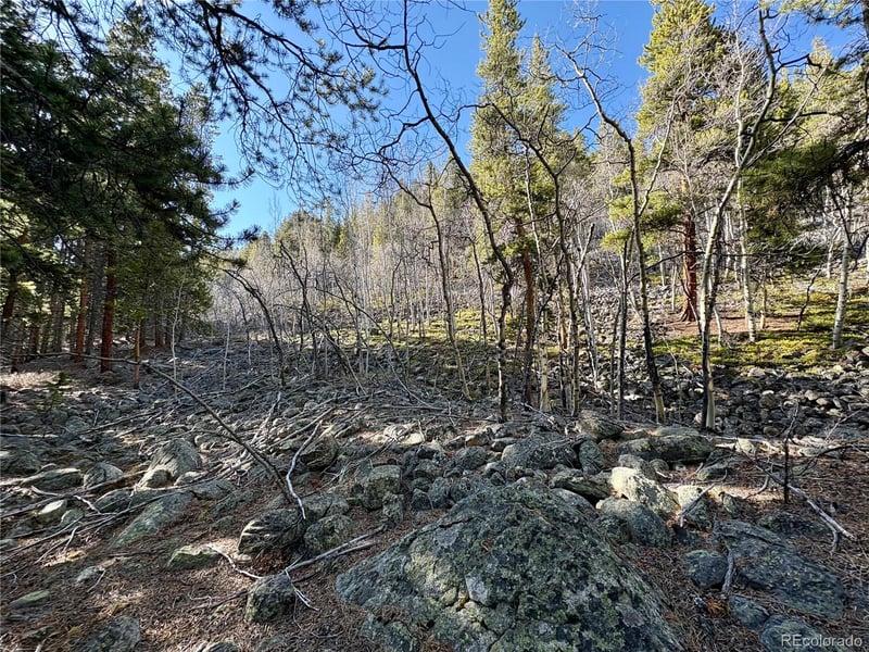 5282 Roy , Leadville, CO 80461