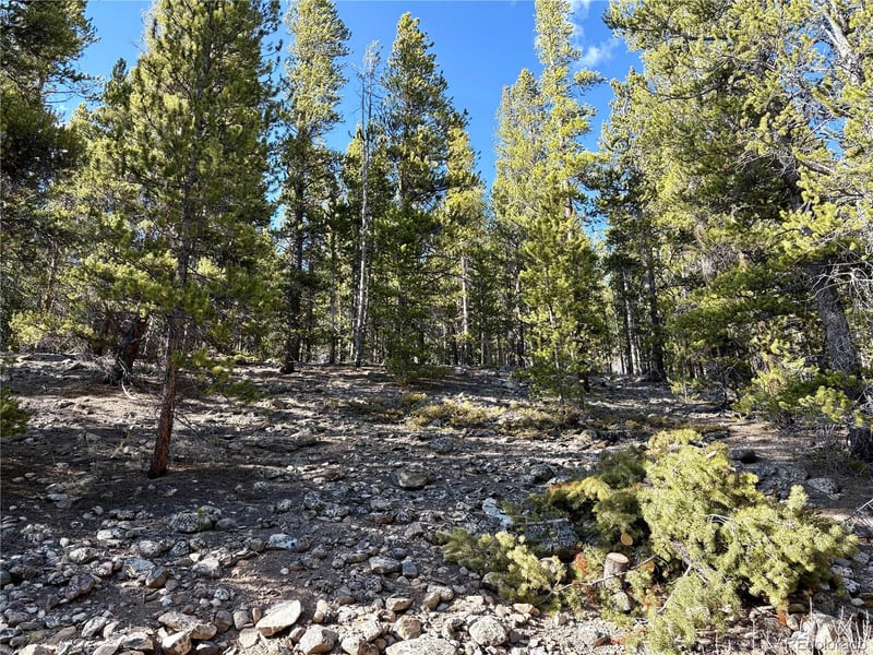 5282 Roy , Leadville, CO 80461