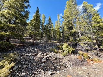 5282 Roy , Leadville, CO 80461