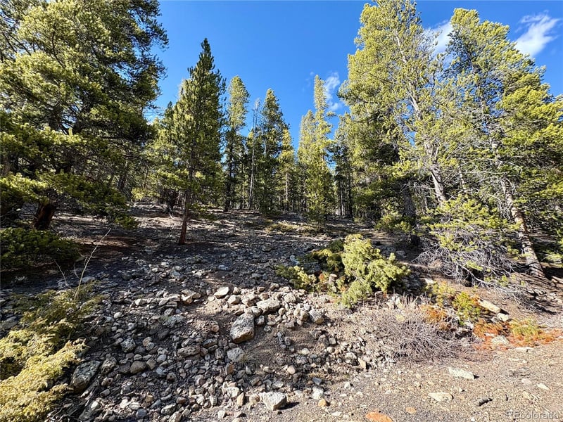 5282 Roy , Leadville, CO 80461