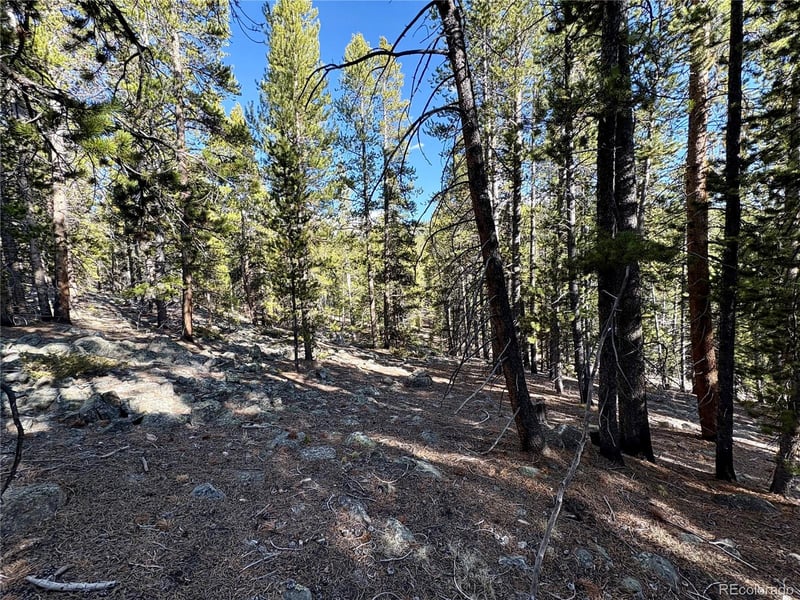 5282 Roy , Leadville, CO 80461
